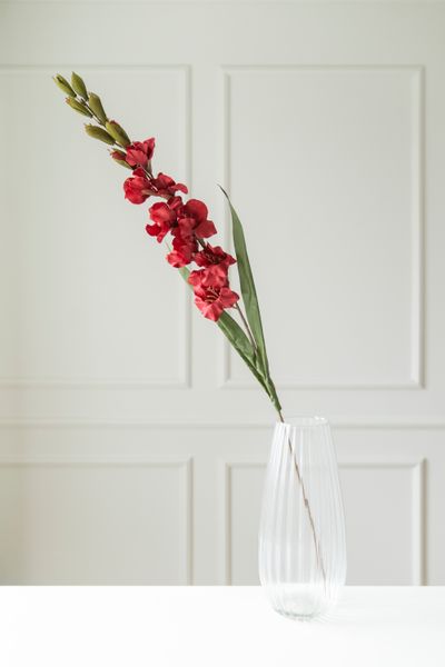 Huvudbild Konstgjord Blomma Gladiol 106cm - Röd