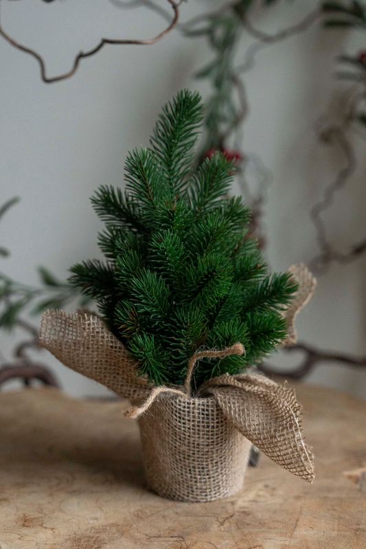 Furuträd i jutekruka 30cm
