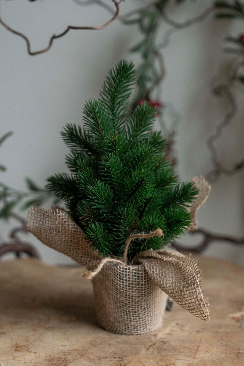 Furuträd i jutekruka 30cm