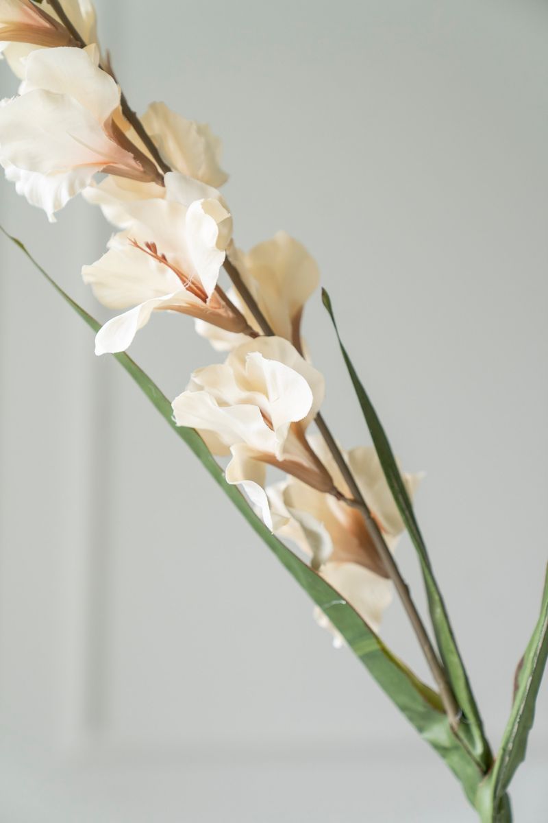 Kunstig Blomst Gladiol 106cm - Beige