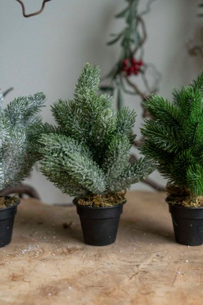 Huvudbild Konstgjord Växt - Träd 22cm Frost